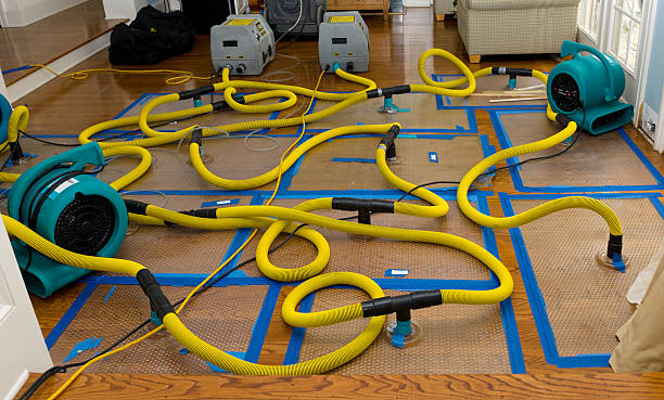Professional Crawl Space Water Removal technician working in Muir, PA